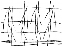 Kubo083 internet[1].jpg